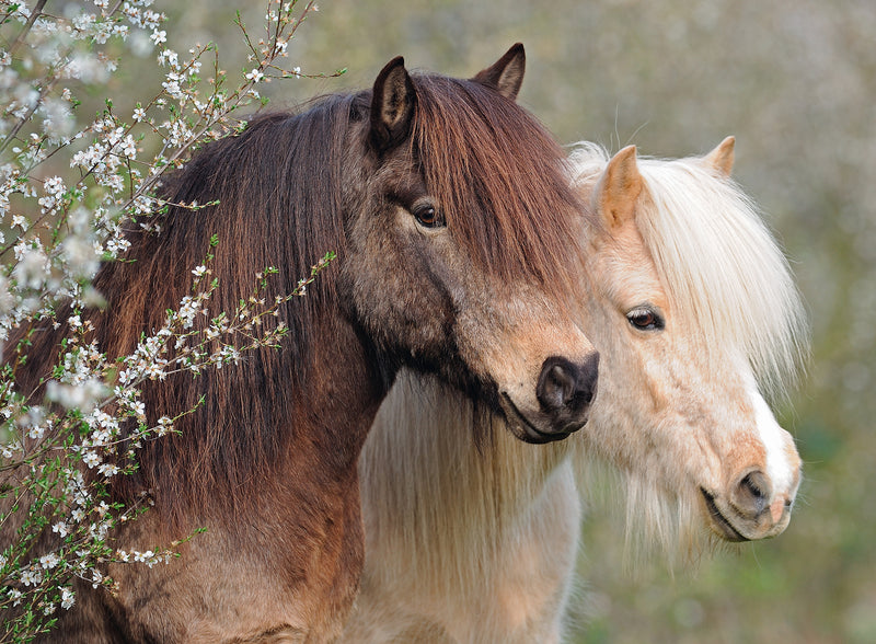 Perfect Ponies XXL 150 piece Jigsaw Puzzle